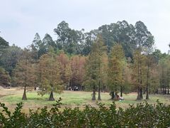 -腰记饭店(龙源路店)