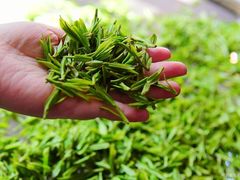 -万达广场(金堂店)