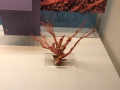 -天津自然博物馆