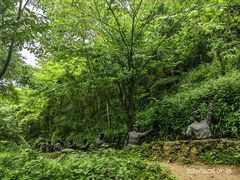 -娄山关景区
