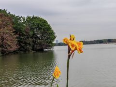 -海珠湖公园