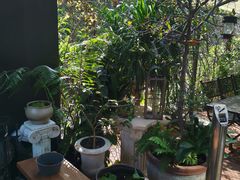 -肴约·花园式餐厅(湖里店)