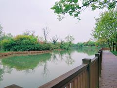 -西溪国家湿地公园