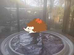 -春晖园度假酒店温泉