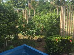 -椰树岛海滩度假村