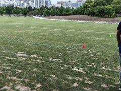 -斯坦星球AI编程·机器人科创·科学实验·信奥·思维·STEM·积木拼搭·竞赛考级(浦东联洋广场大拇指龙阳御桥中心)