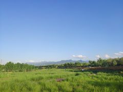 -洨河生态公园