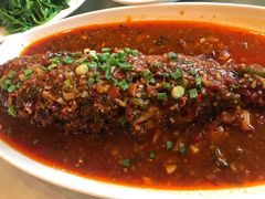 天府豆瓣鱼-粤香村(清真川菜店)