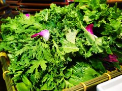 -慢丽江·云南野生菌土鸡锅(付家庄店)