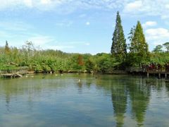 -溱湖国家湿地公园