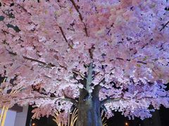 -宁波杉井奥特莱斯广场