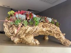 -城一锅涮烤羊蝎子·烤串