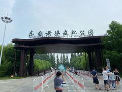 -黄海国家森林公园