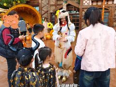 -郑州方特梦幻王国