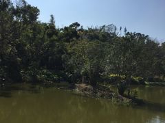 -厦门悦华酒店