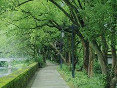 -兰亭风景区