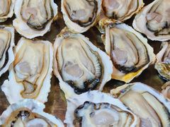 -原志优秀食材·匠心料理·海胆主题(金亿广场店)