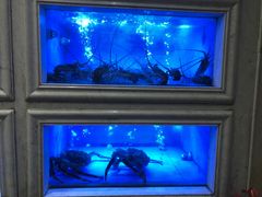 -御口福·廿八年经典粤菜·驰名烧鹅 (远景路店)