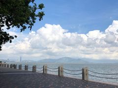 -深圳湾公园(南山区)
