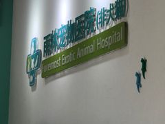 -雨林宠物医院 非犬猫异宠专科