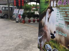 -新合益乡村农庄