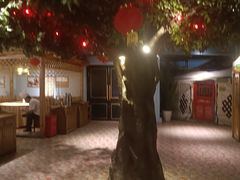-老阿妈蒙古村·蒙古包·草原文化·歌舞表演(老君堂店)