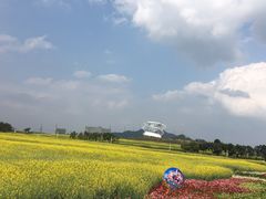 -光明小镇欢乐田园