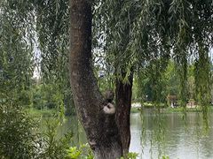 -黑龙潭公园