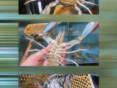 -三妹小龙虾·黄油蟹(华侨城总店)