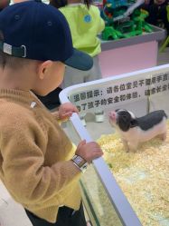 -meland亲子乐园·派对·研学(淄博万象汇店)