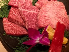 -神户牛焼肉専門店 牛一(道顿堀店)