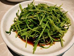 清炒豆苗-老头儿油爆虾·三潭印月