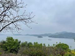 -天目湖涵田半山温泉