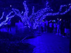 -JOYA湾悦国际酒店(世界之窗店)