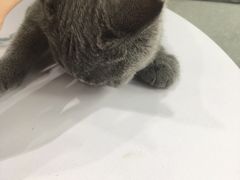 -心仪动物医院·牙专科·肿瘤·心脏科(西客站院)
