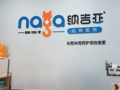 -纳吉亚猫专科动物诊疗中心(蒋宅口分院)