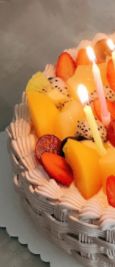 -丽莎蓓甜CAKE生日蛋糕·动物奶油(石家庄店)