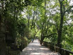 -丰都鬼城名山景区