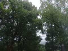 -宝岩生态观光园