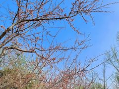 -太阳宫足球俱乐部