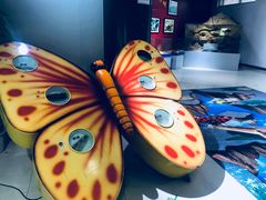 -上海昆虫博物馆