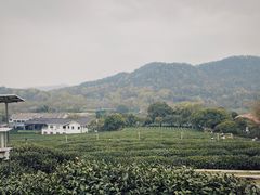 -中国茶叶博物馆(双峰馆区)