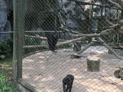 -拉古南动物园