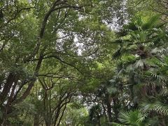 -蜀冈西峰生态公园