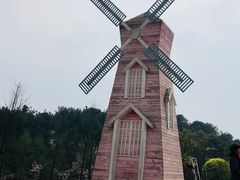 -铁山坪森林公园