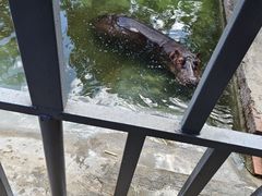 -东莞香市动物园