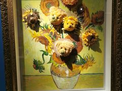 -成都泰迪熊博物馆