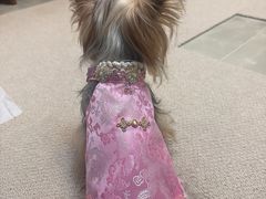 -全心全意动物诊疗中心医院(北苑店)