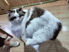 -白兔子密室(长寿路店)