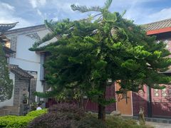 -喜林苑·稻田餐厅(品相府店)